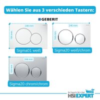 Geberit Vorwandelement UP320 + Ference WC + Drückerplatte + WC-Sitz Sigma20 weiß/chrom/weiß