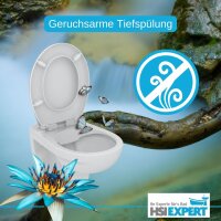 Geberit Vorwandelement UP320 + Ference WC + Drückerplatte + WC-Sitz Sigma20 weiß/chrom/weiß